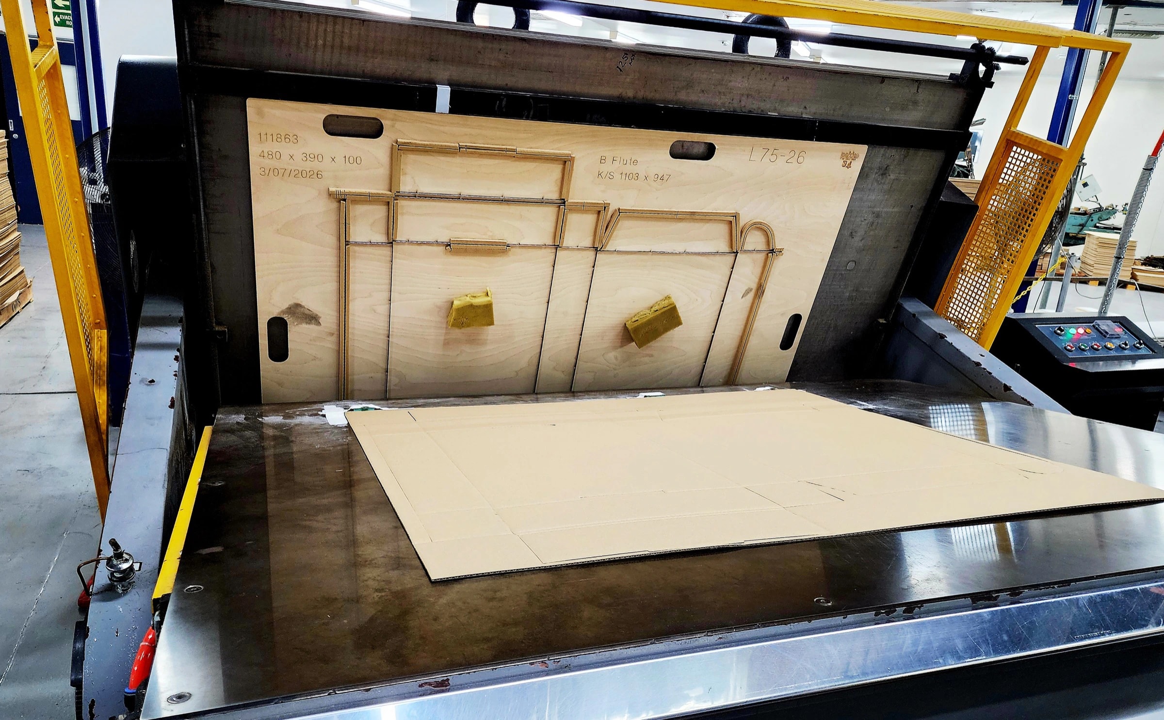 Photo — forme mounted in the die cutting press mid make-ready