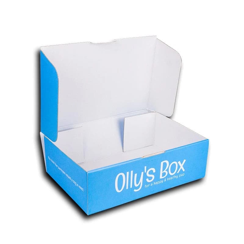 /images/learning-hub/type-of-materials-we-offer/corrugated-cardboard-olly-box.webp