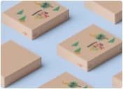 /images/packaging-solutions/ecommerce-packaging/sub-hero-2.webpEccomerce Box