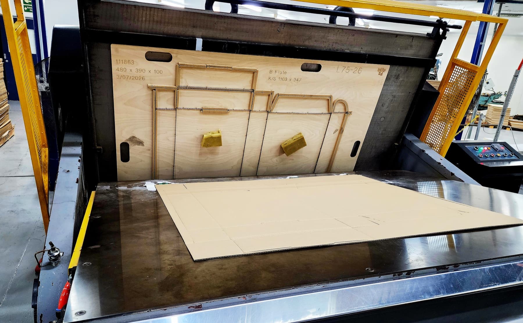 Pakko die-cutting machine cutting cardboard sheets in Brisbane