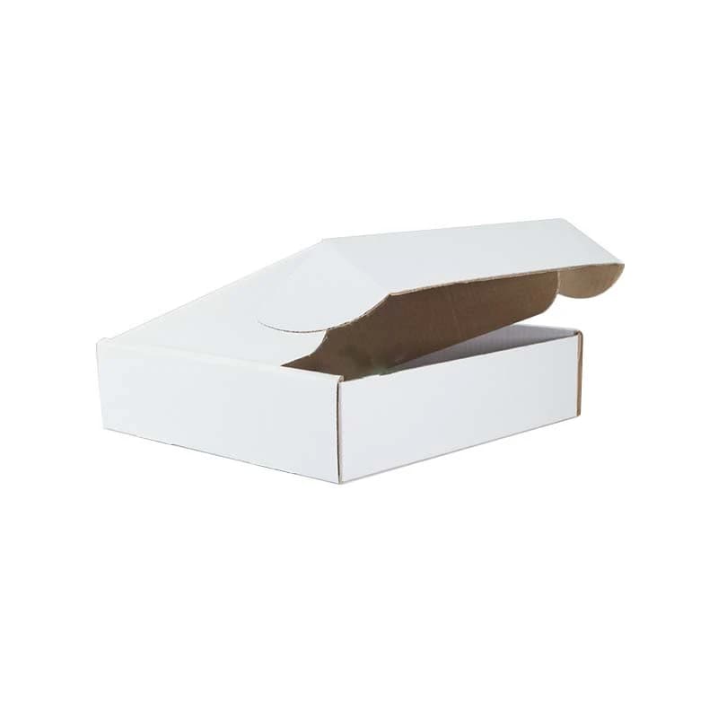 Cover Image for TSW Medium Mailing Box