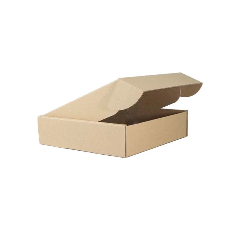 Cover Image for TSW Large Mailing Box