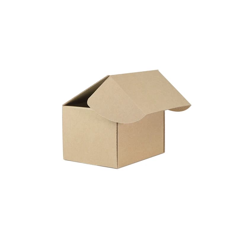 Cover Image for TSW Small Mailing Box