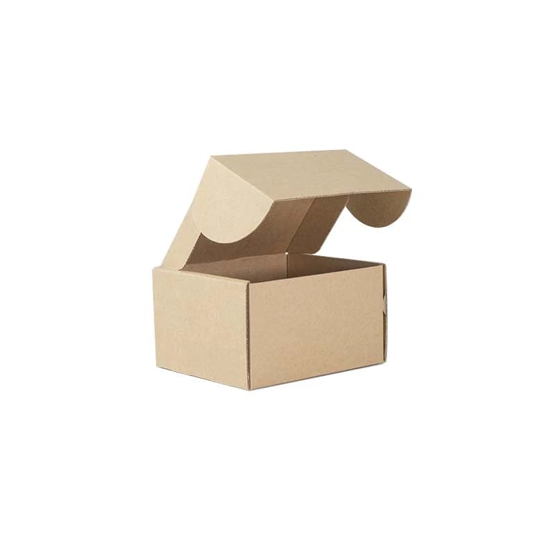 Cover Image for TSW Small Mailing Box