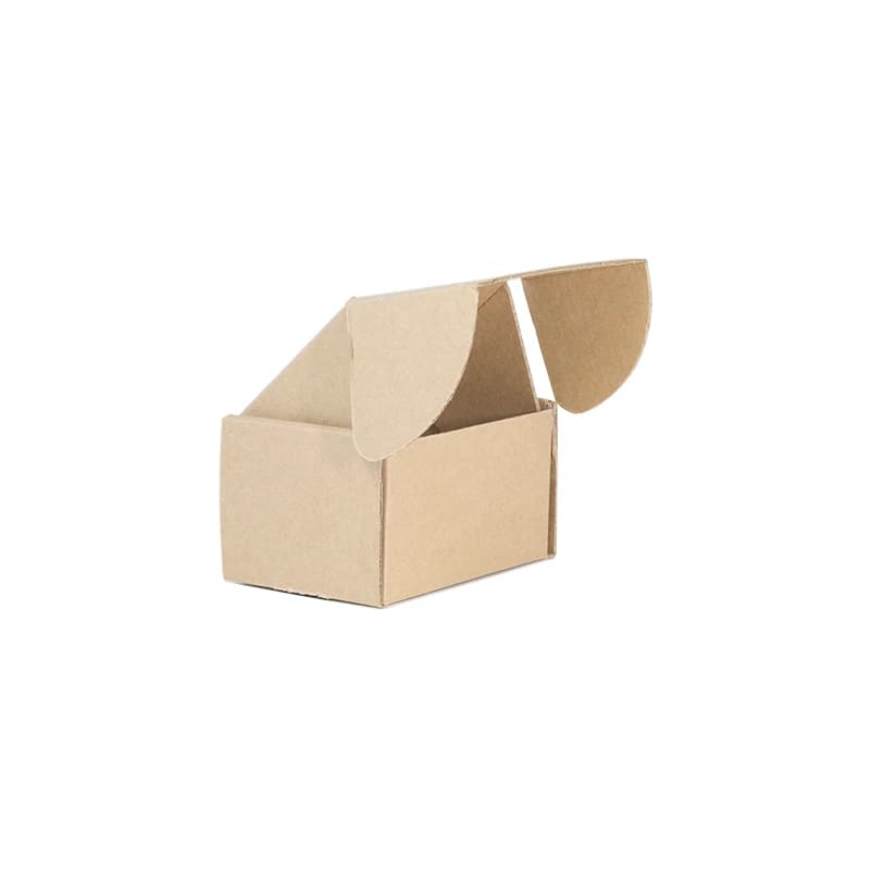 Cover Image for TSW Micro Mailing Box Brown