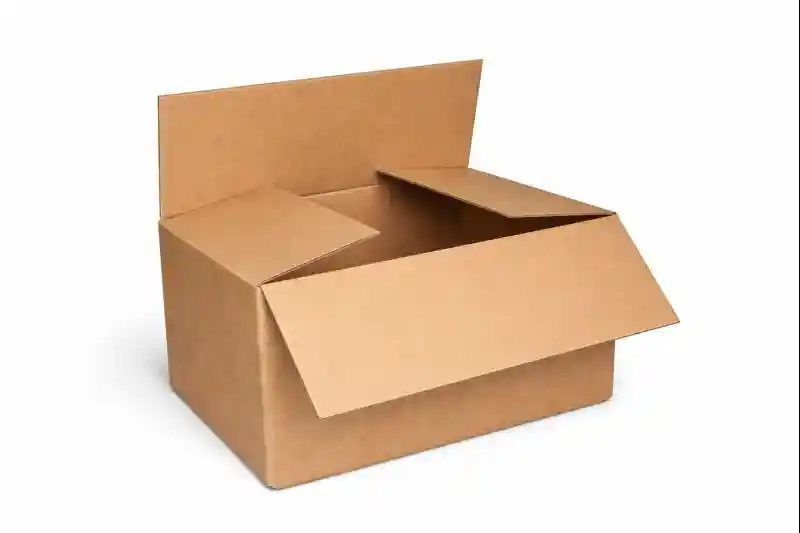 Cover Image for RSC Cartons